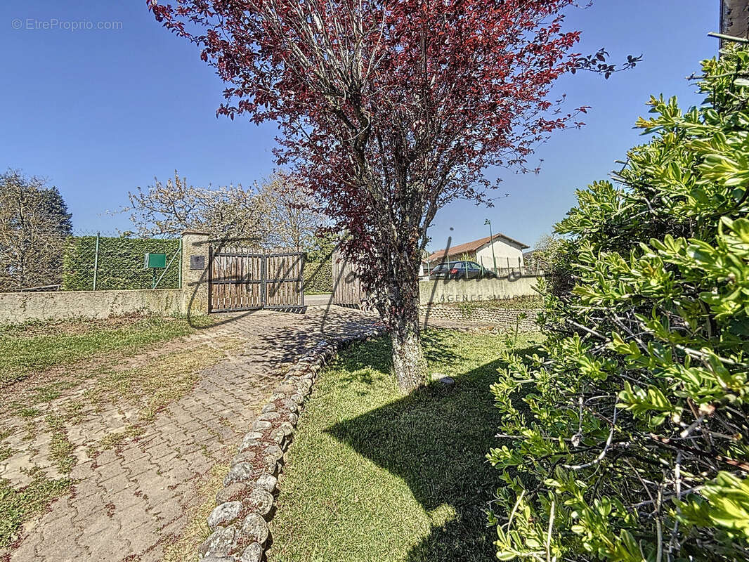 Maison à SAINT-BLAISE-DU-BUIS