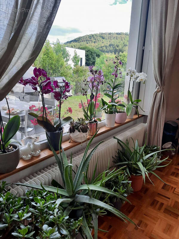 Maison à GUEBWILLER