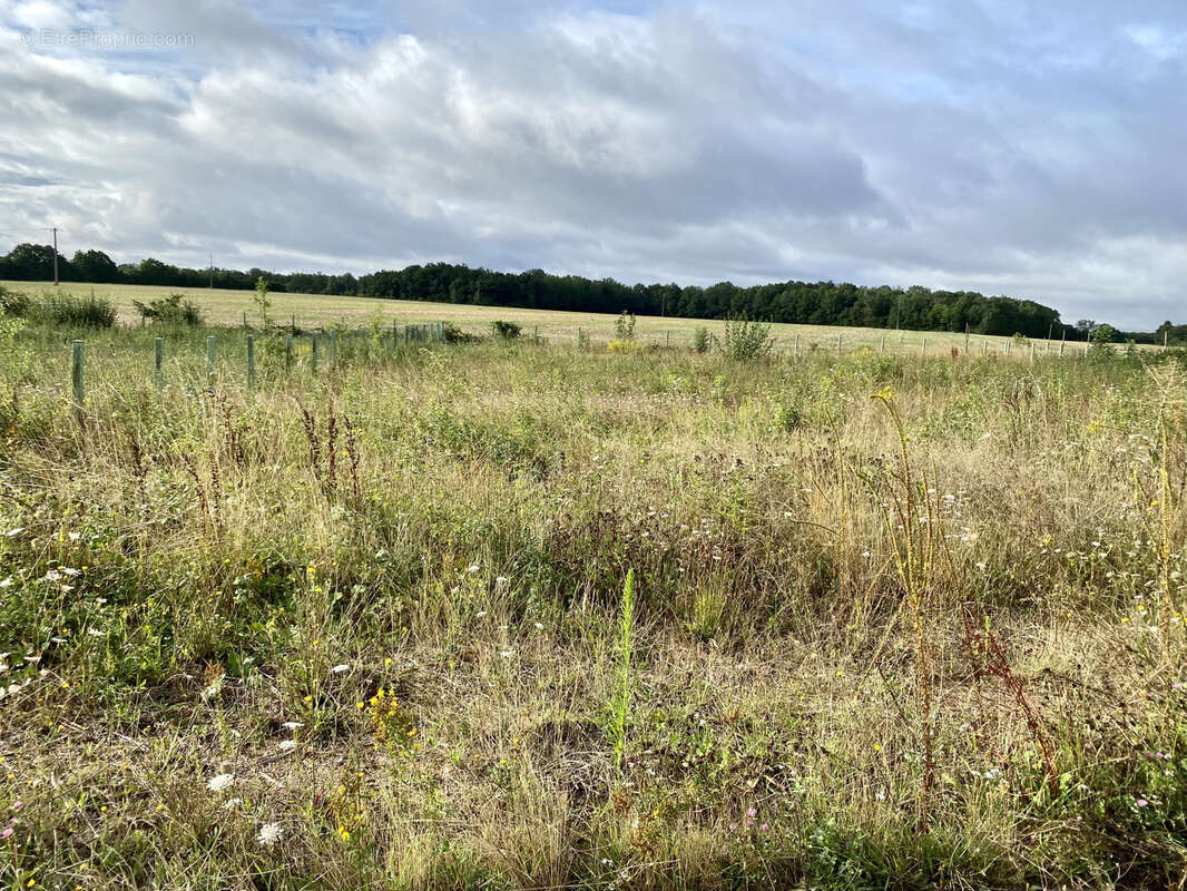 Terrain à SAINT-MAURICE-SAINT-GERMAIN