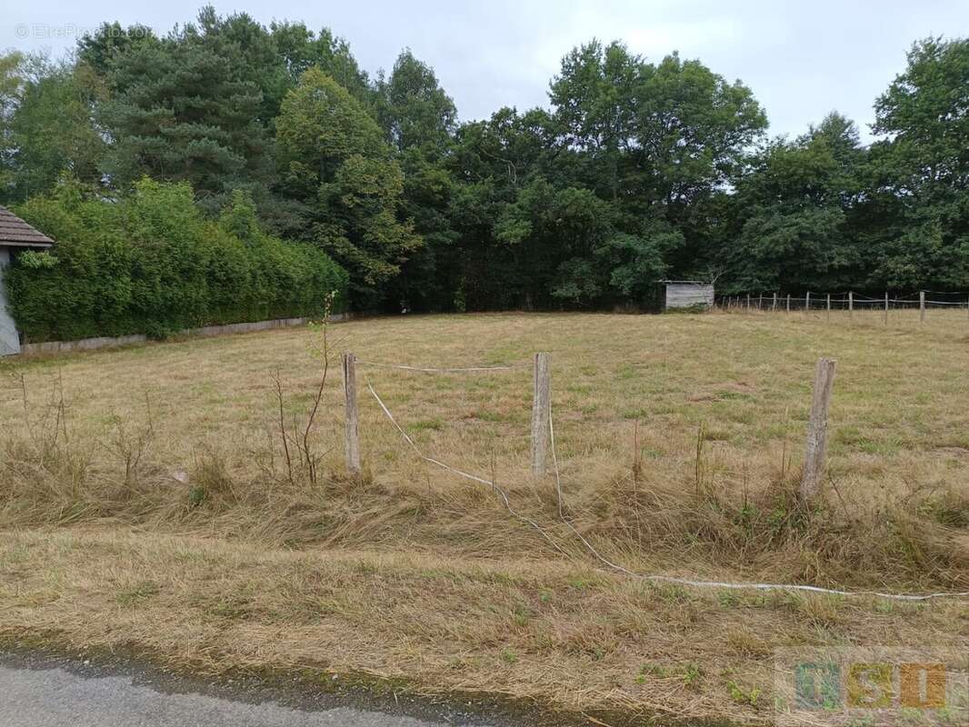 Terrain à SAINT-LAURENT-DE-NESTE