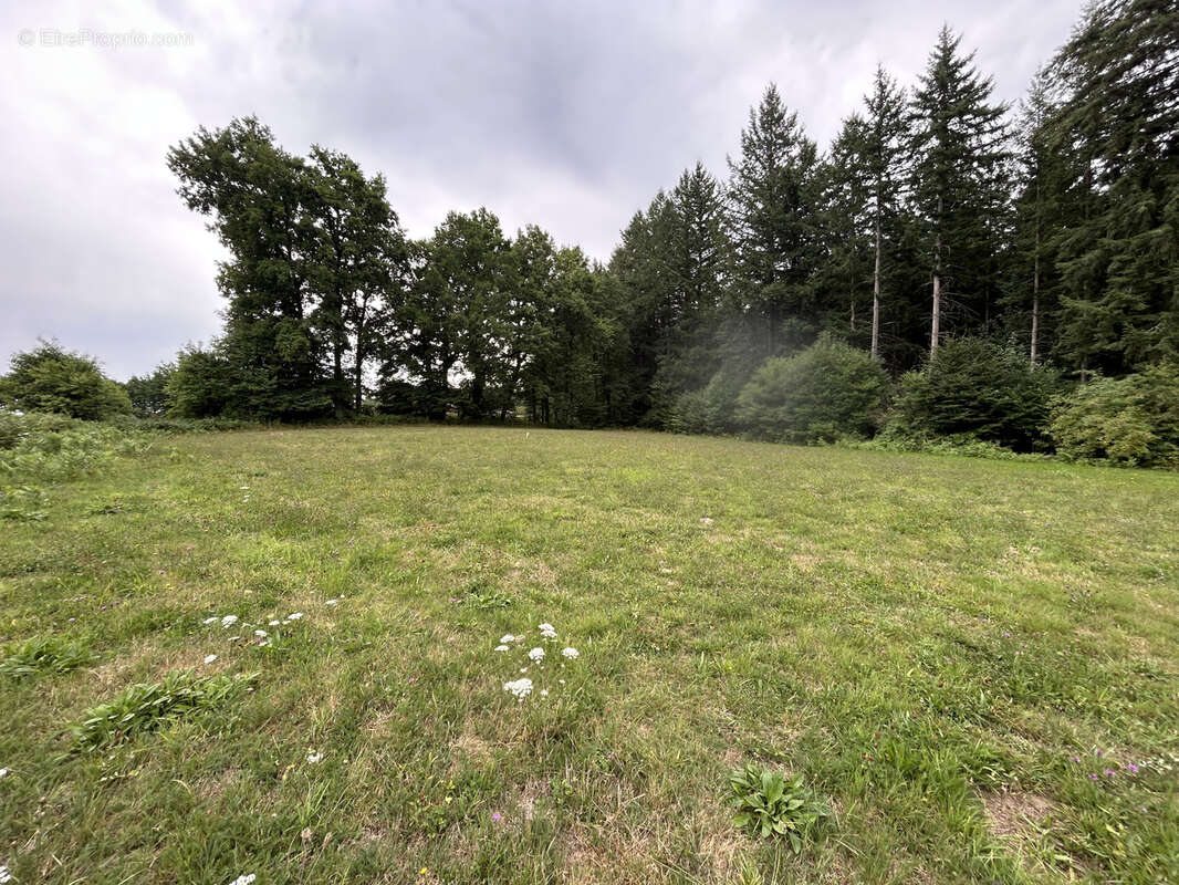 Terrain à ROSIERS-D&#039;EGLETONS