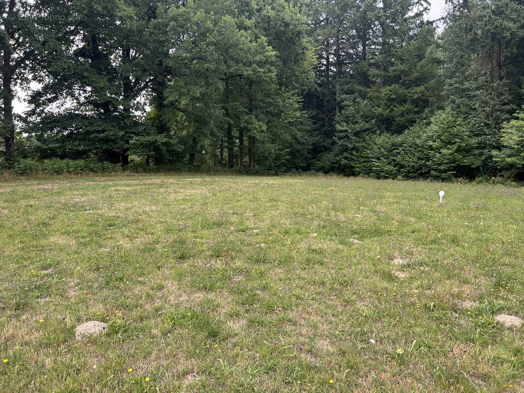 Terrain à ROSIERS-D&#039;EGLETONS