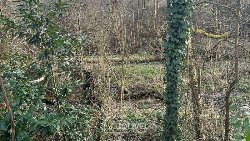 Terrain à LA ROCHE-SUR-YON