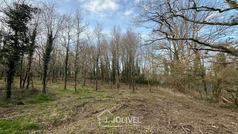 Terrain à LA ROCHE-SUR-YON