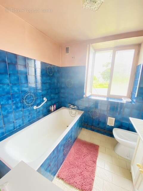 Maison à SAINT-MARTIN-LA-SAUVETE