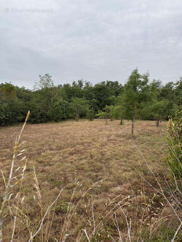 Maison à MONTFERRAND