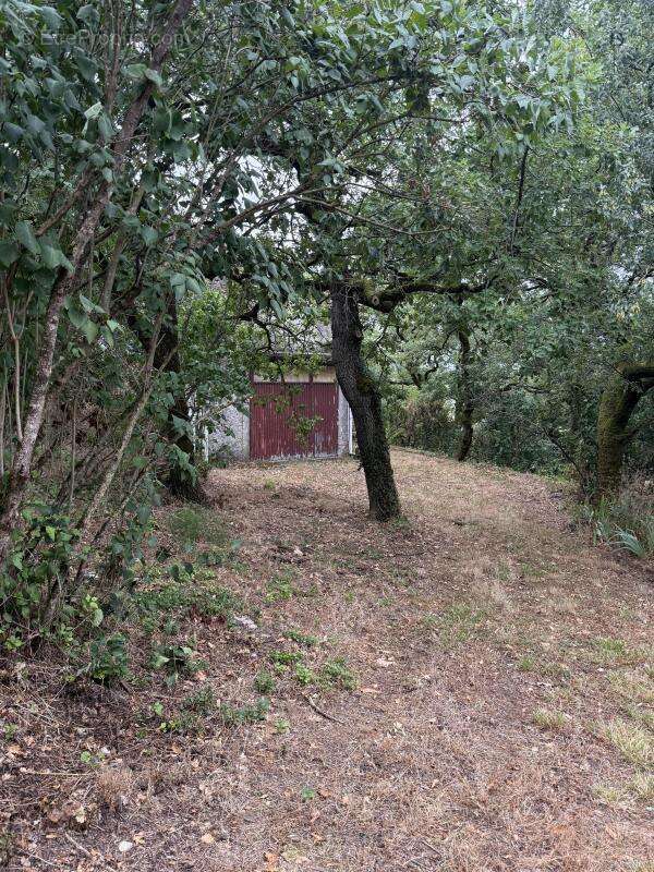 Maison à MONTFERRAND