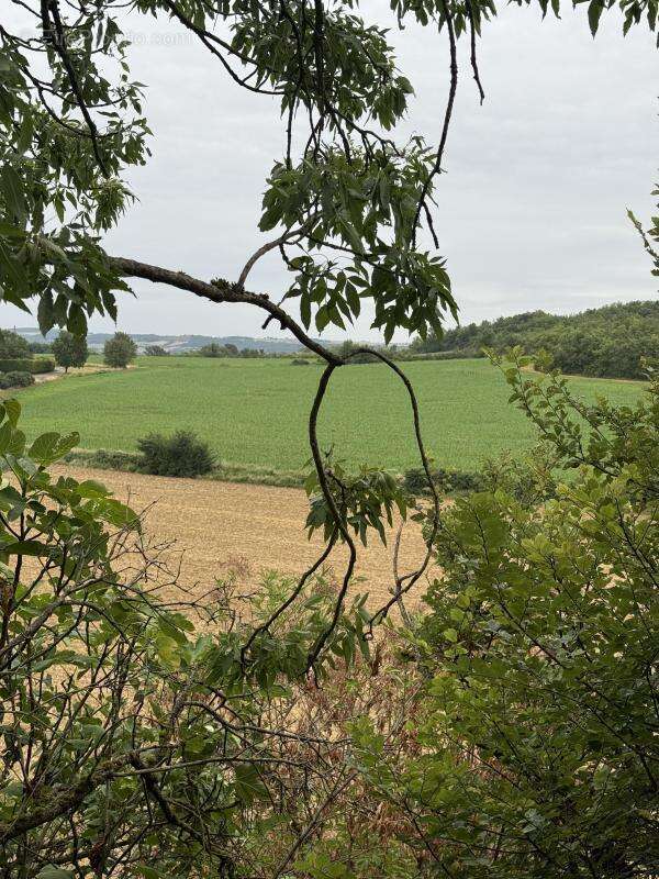 Maison à MONTFERRAND