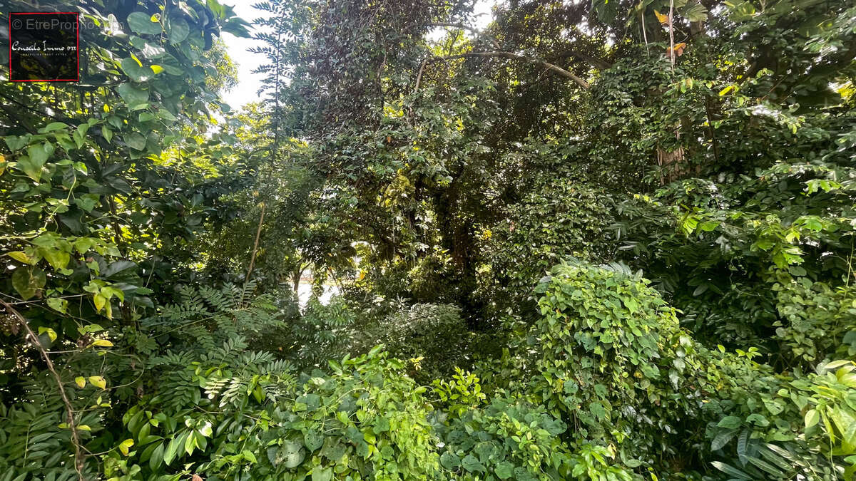 Terrain à LA TRINITE