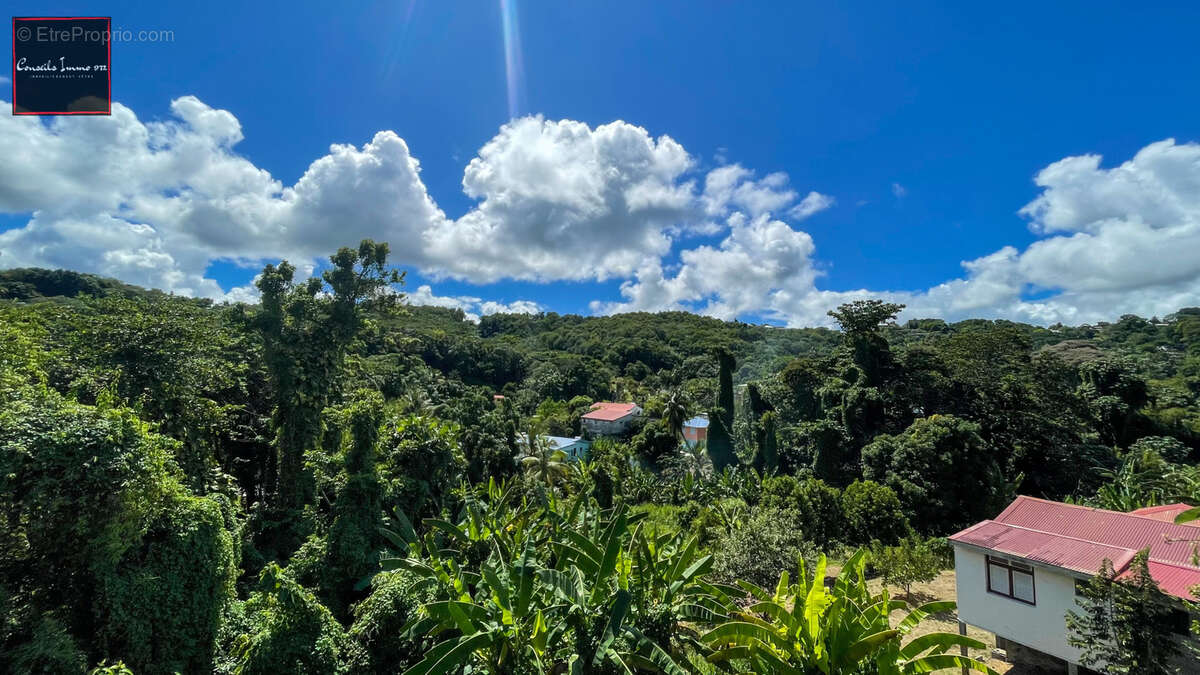 Terrain à LA TRINITE