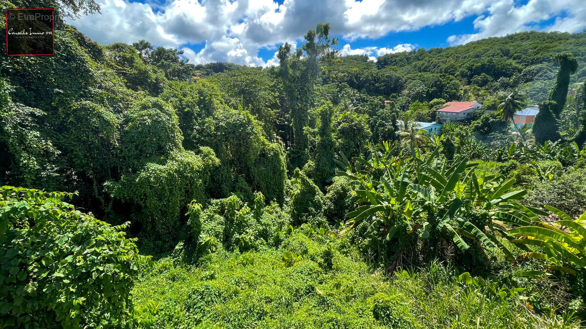 Terrain à LA TRINITE
