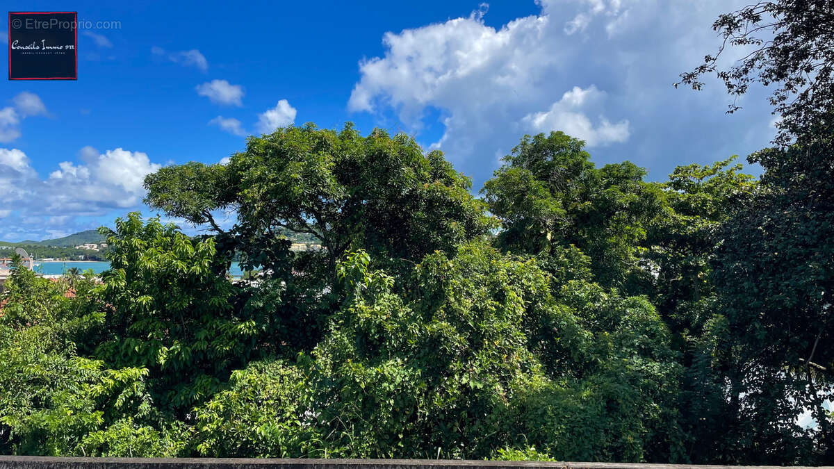 Terrain à LA TRINITE