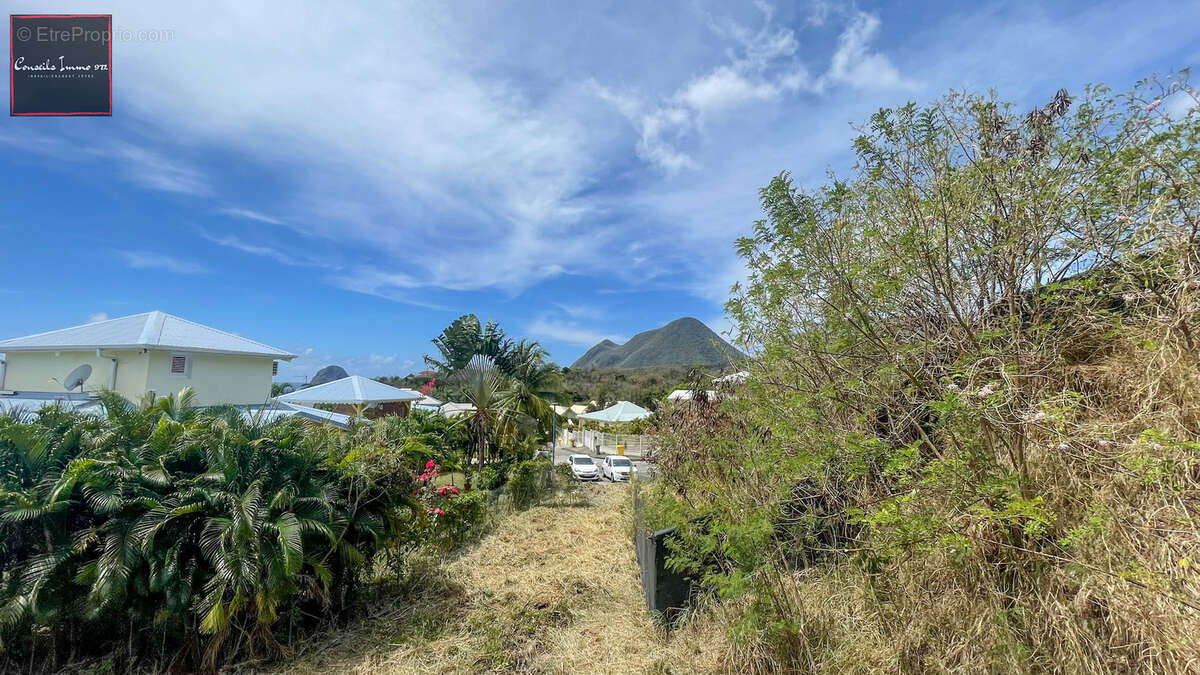 Terrain à LE DIAMANT