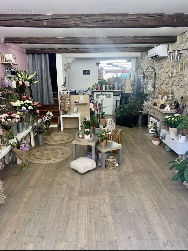 Commerce à OLLIOULES