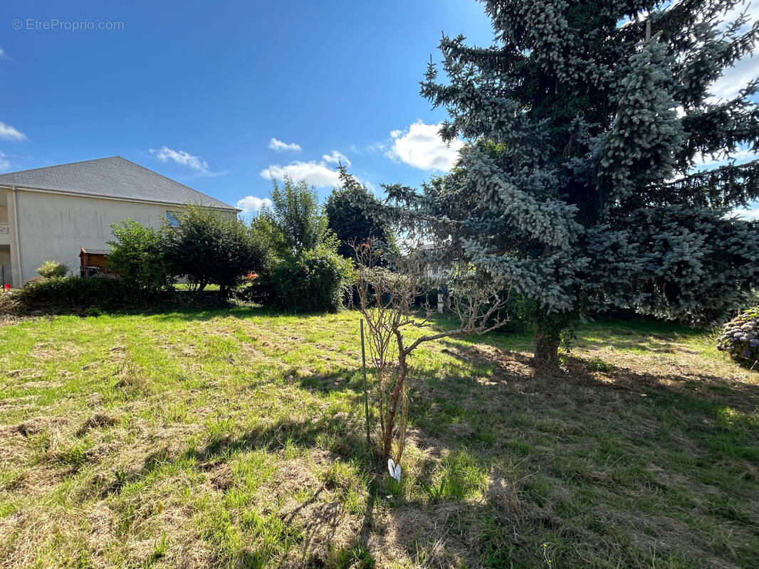 Terrain à MONTIVILLIERS