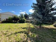 Terrain à MONTIVILLIERS