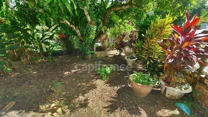 Maison à LE DIAMANT