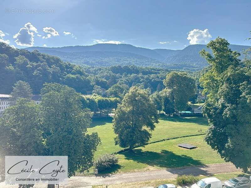 Appartement à SAINT-MARTIN-D&#039;URIAGE