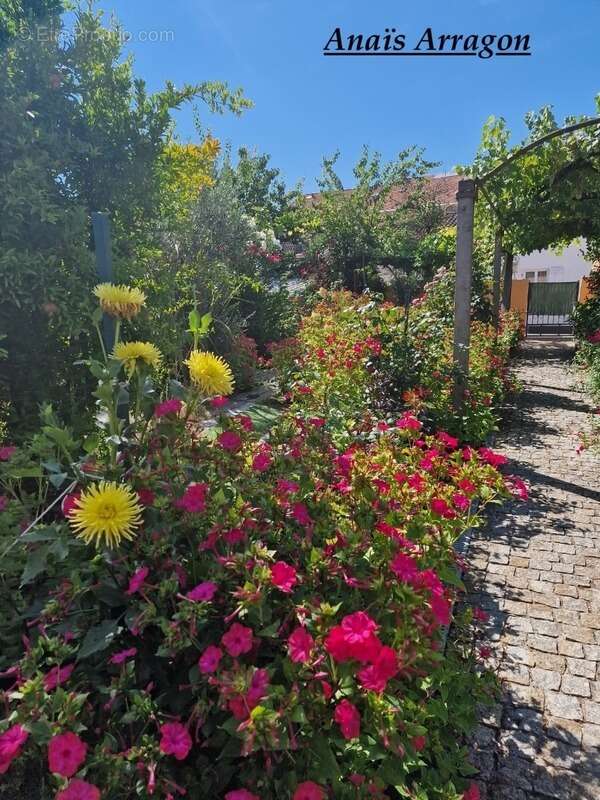 Maison à SAINTE-LIVRADE-SUR-LOT