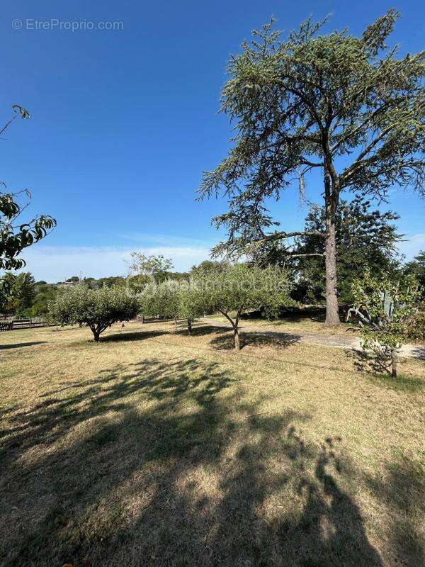 Maison à SAINT-JULIEN-DE-PEYROLAS