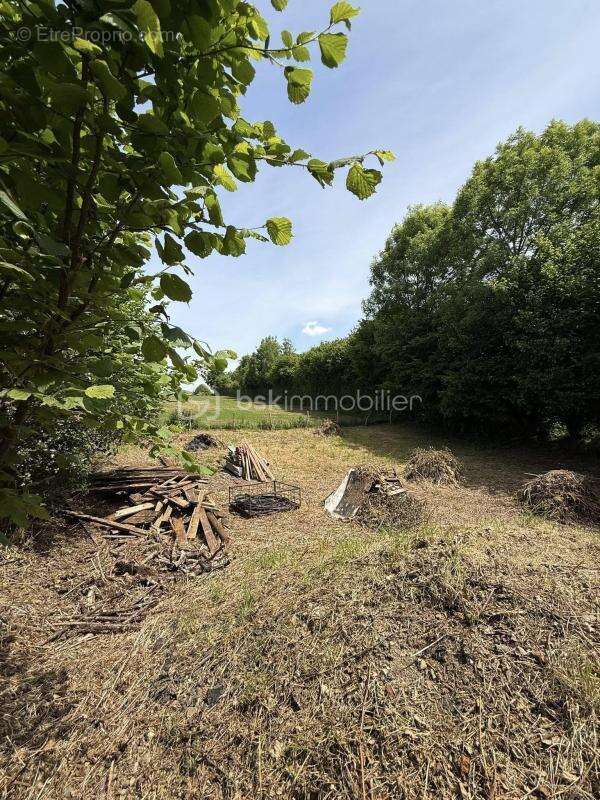 Maison à LA FERRIERE-AUX-ETANGS