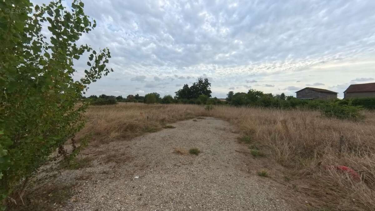 Terrain à CASSENEUIL