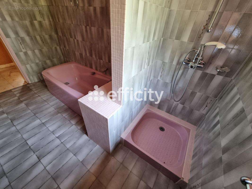 Maison à LE MALZIEU-VILLE