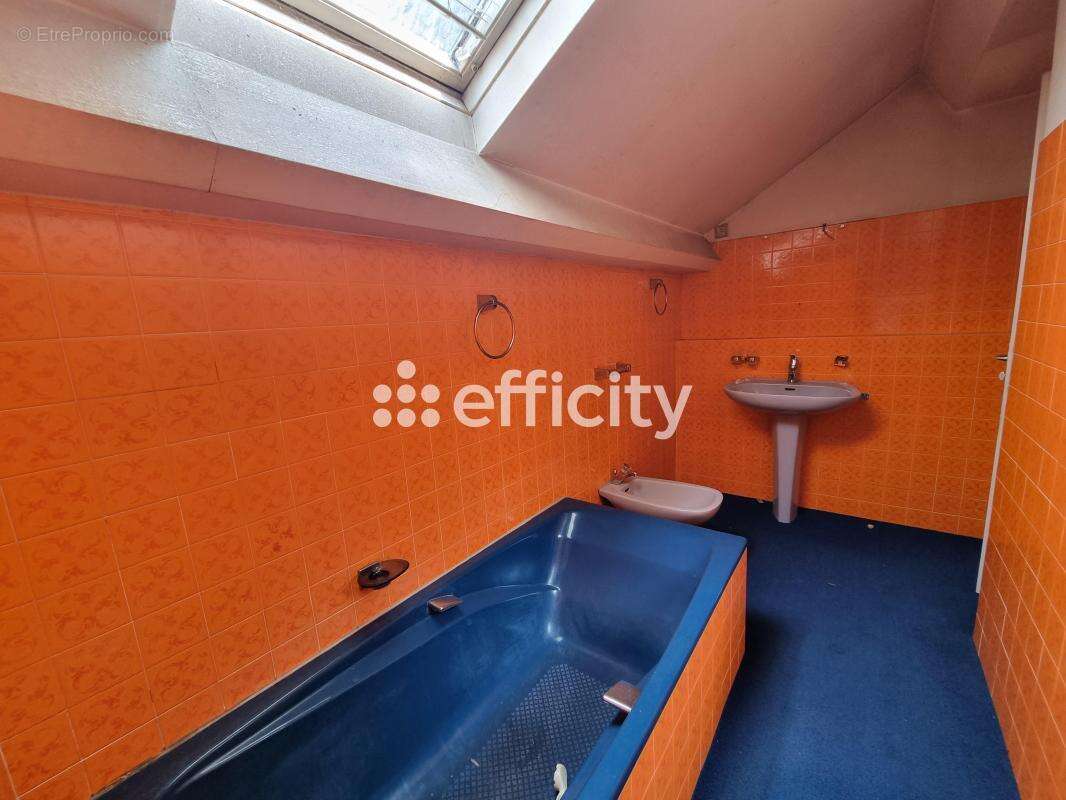 Maison à LE MALZIEU-VILLE