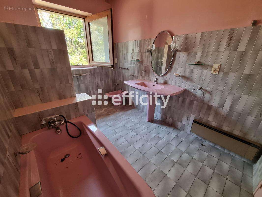 Maison à LE MALZIEU-VILLE