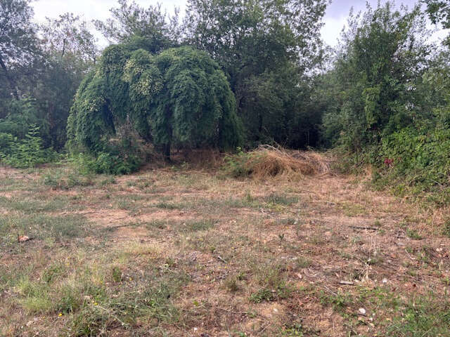 Terrain à BRUGUIERES