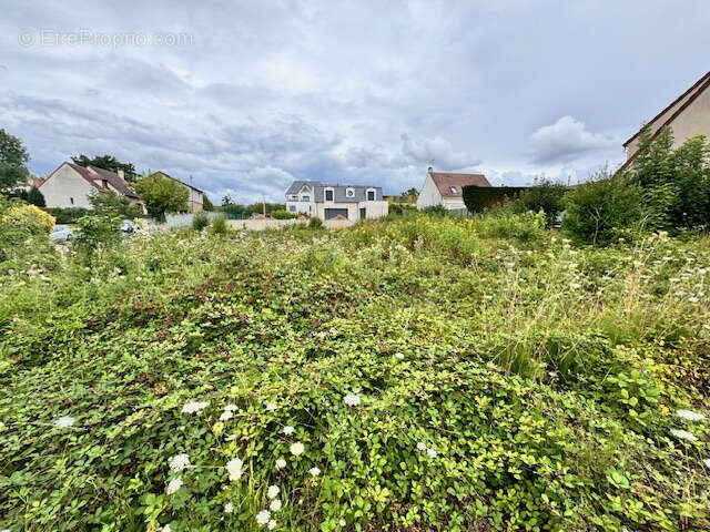 Terrain à PALAISEAU