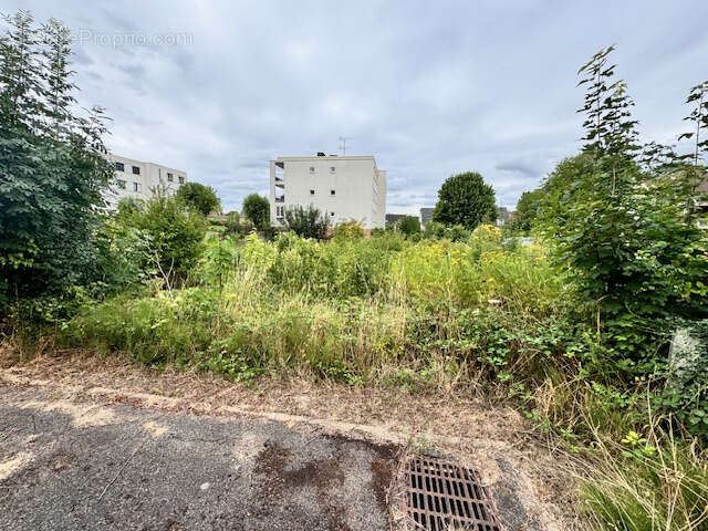 Terrain à PALAISEAU