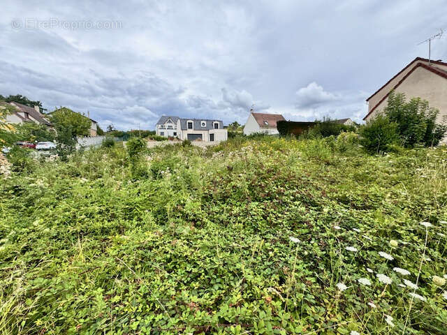 Terrain à PALAISEAU