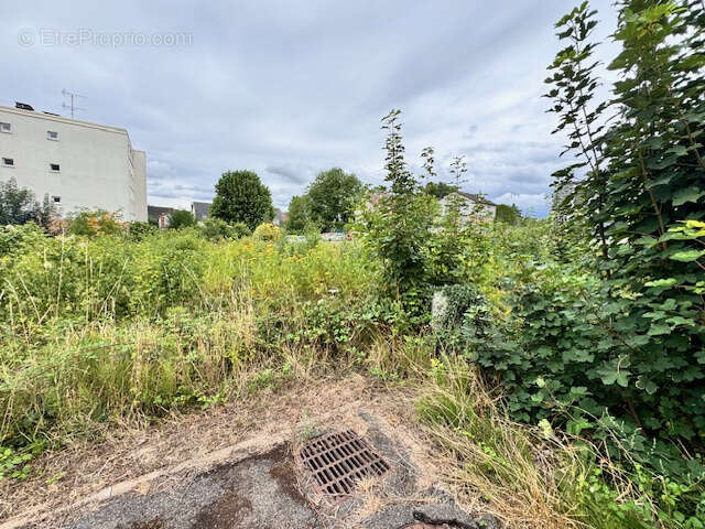 Terrain à PALAISEAU