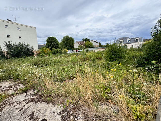 Terrain à PALAISEAU