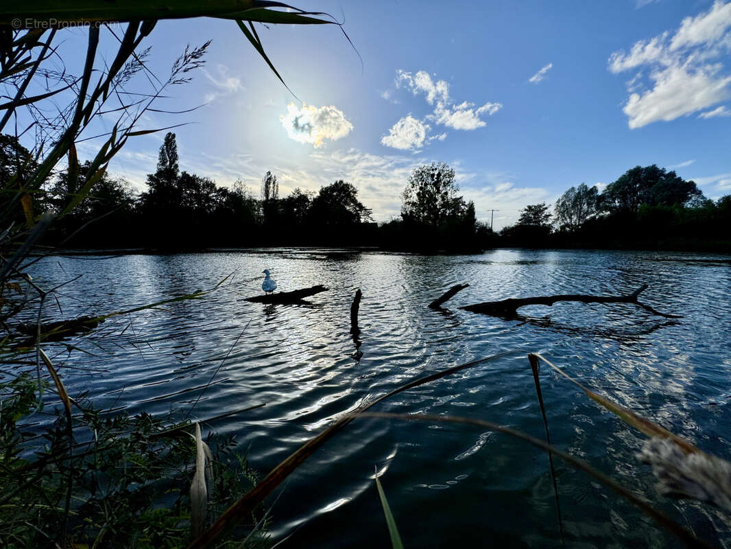 Maison à MONTCRESSON