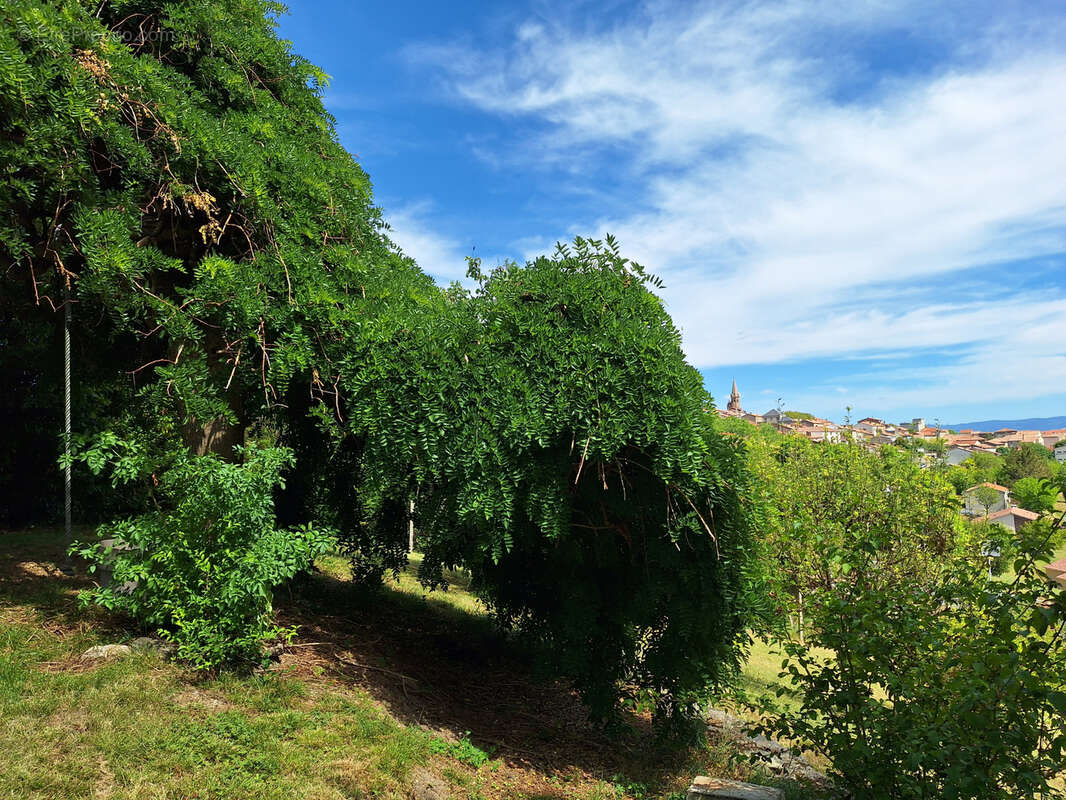 Maison à PUYLAURENS