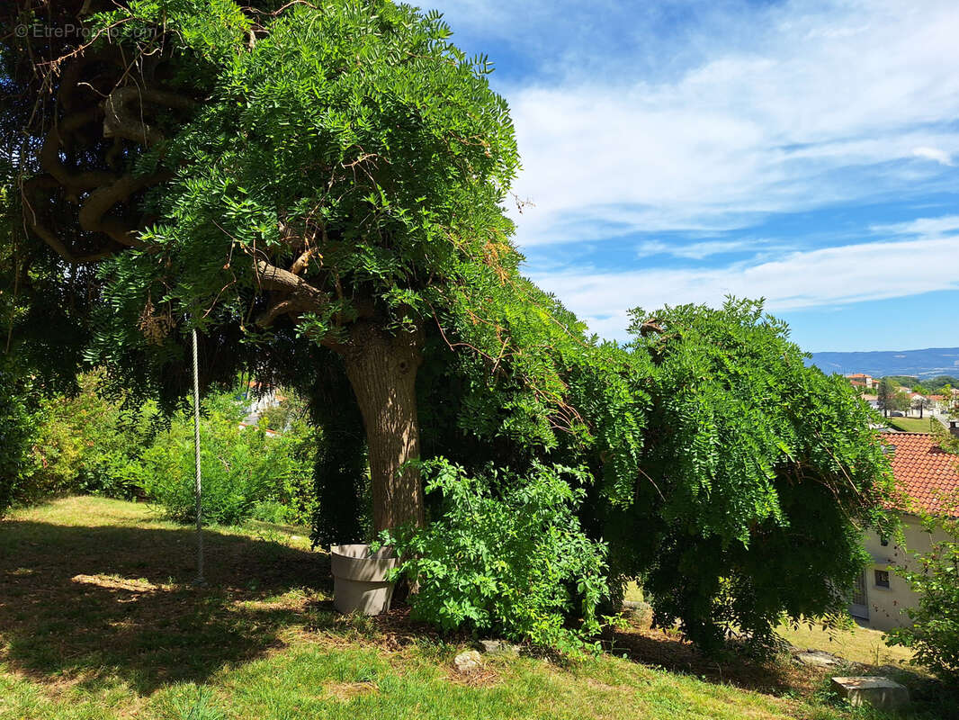 Maison à PUYLAURENS