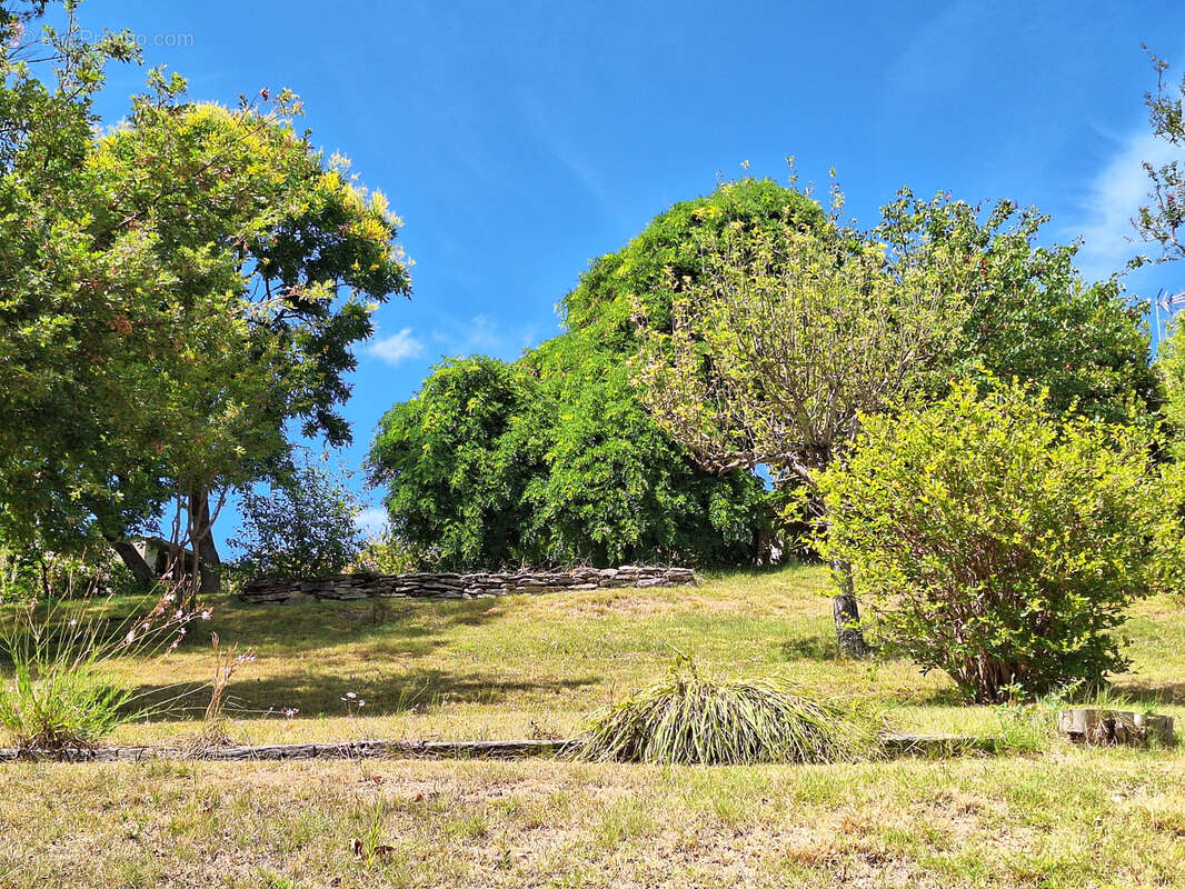 Maison à PUYLAURENS