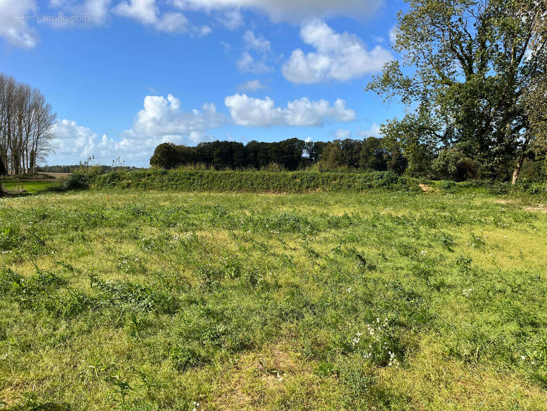 Terrain à SAINT-VALERY-EN-CAUX