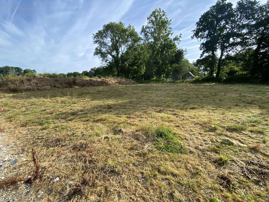 Terrain à SAINT-VALERY-EN-CAUX