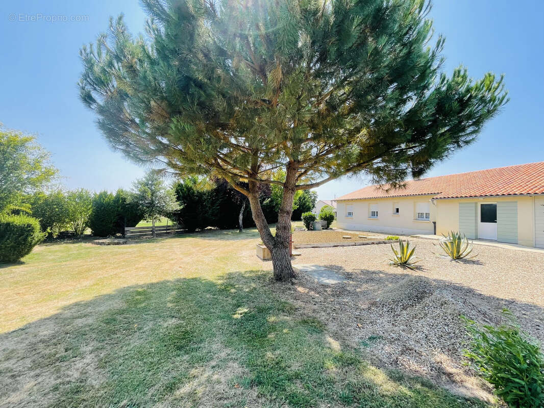 Maison à NIEUIL-L&#039;ESPOIR