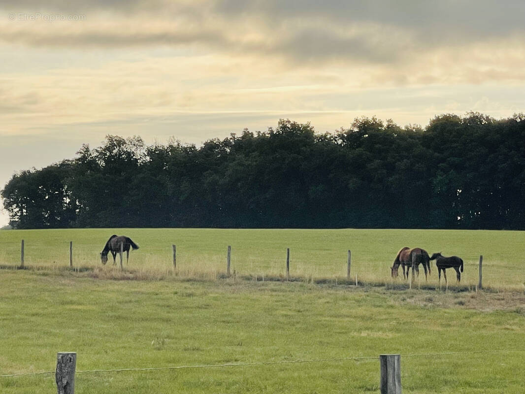 Maison à NIEUIL-L&#039;ESPOIR
