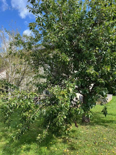 Maison à NASSANDRES