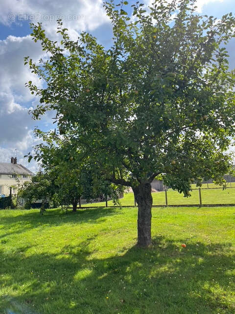 Maison à NASSANDRES