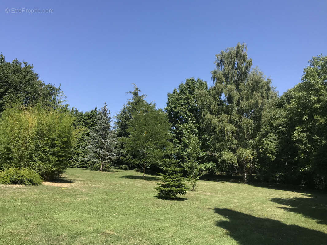 Maison à CHAMPCUEIL