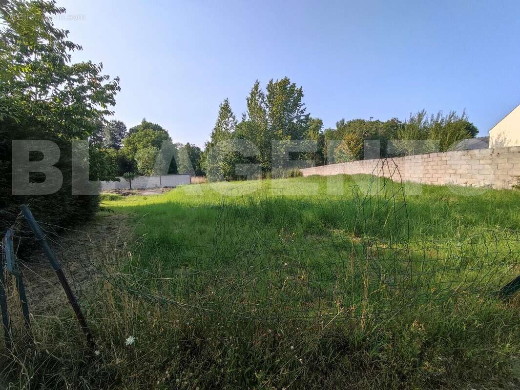 IMG_20250809_183225 - Terrain à MONTMIRAIL