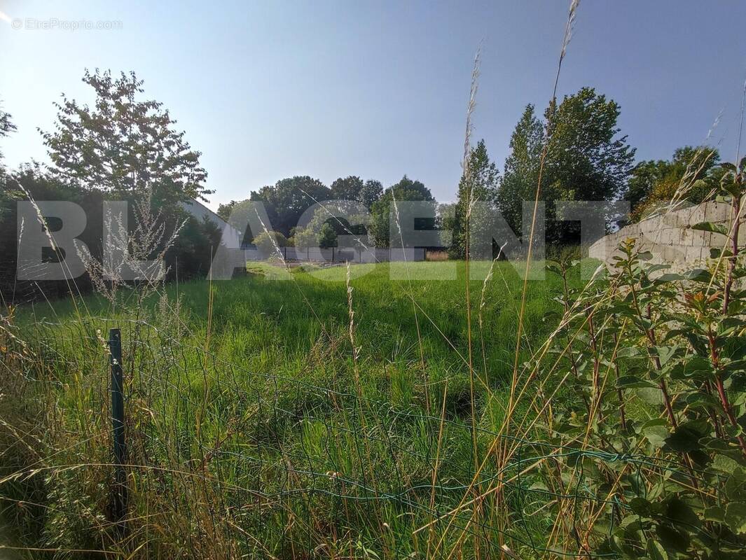 IMG_20250809_183239 - Terrain à MONTMIRAIL