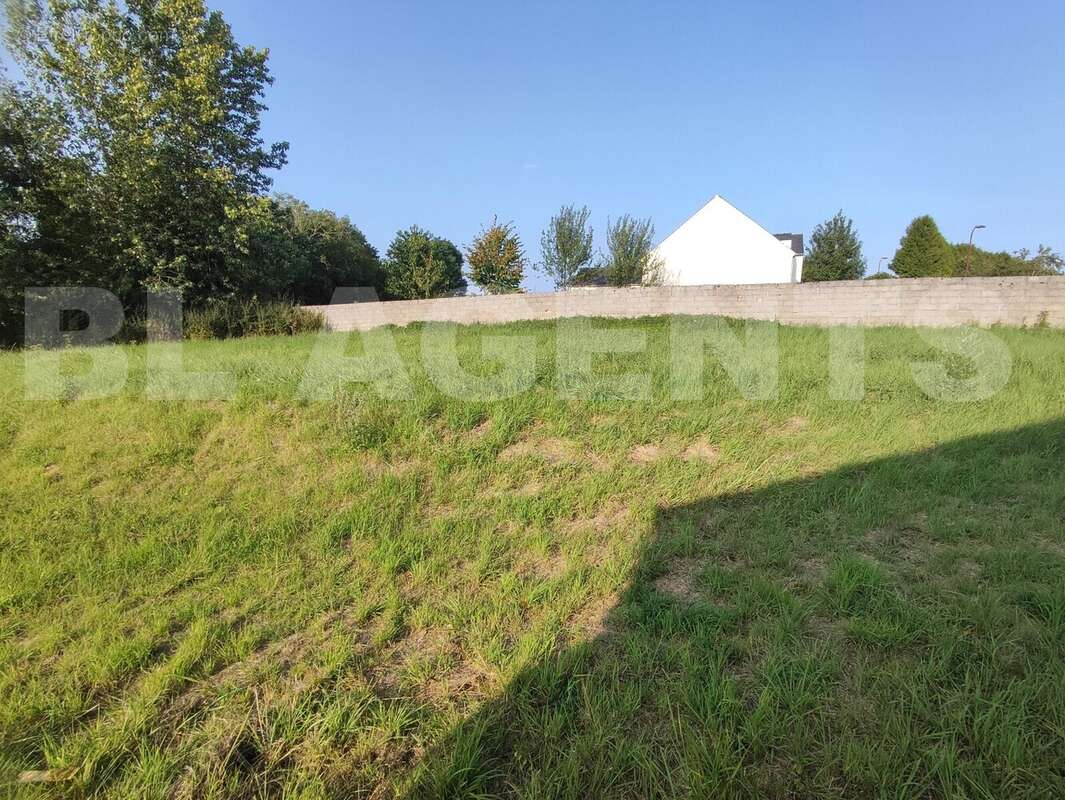 IMG_20250809_184056 - Terrain à MONTMIRAIL