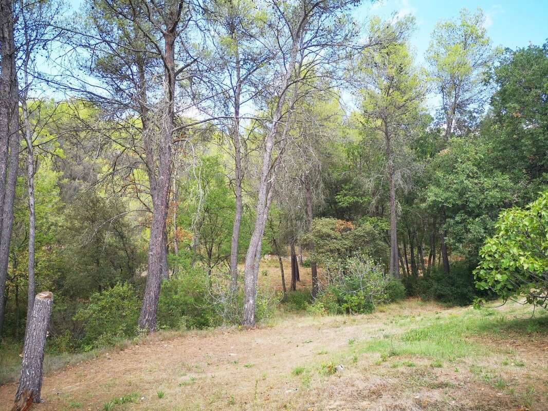 Maison à ENTRECASTEAUX